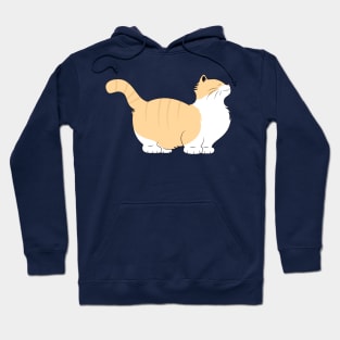 Munchkin Cat Hoodie